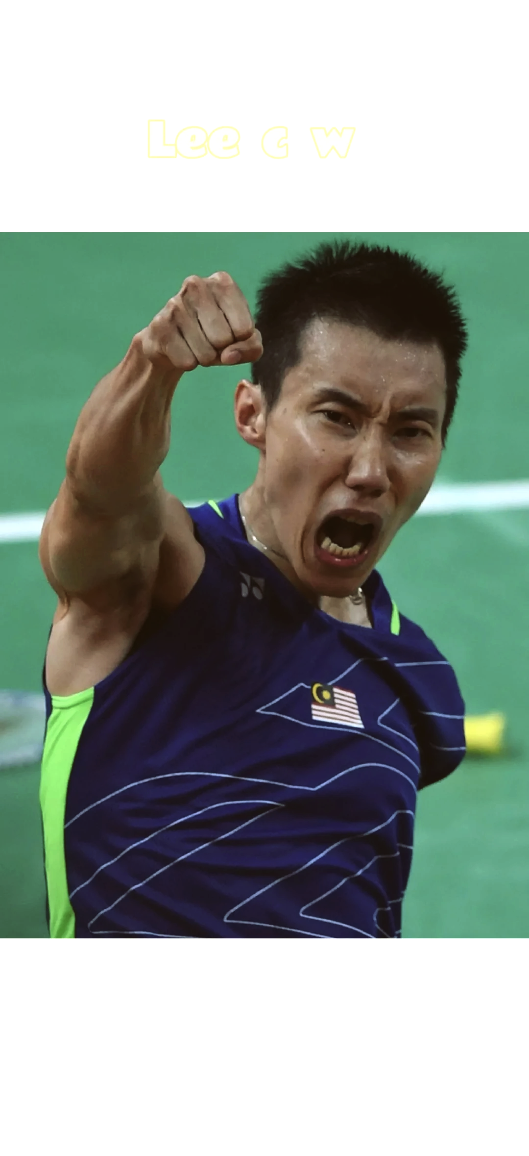 印尼羽毛球队完胜英格兰羽毛球队，李宗伟惊艳世界的简单介绍