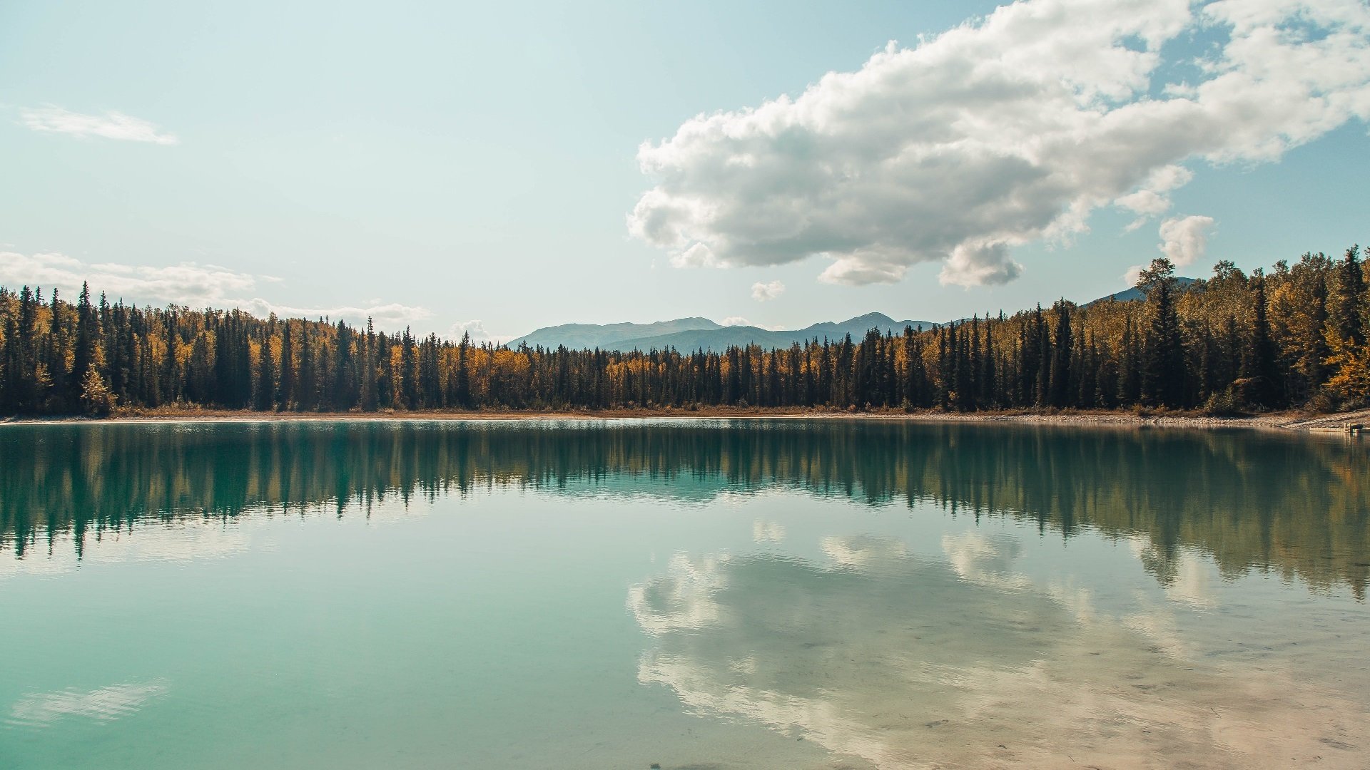 美加墨世界杯焦点战,森林狼火力全开,跨界压制广东队