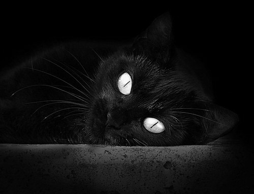 蓝色闪电,牙买加式高压与福登的完美风暴,如何肢解枪手体系