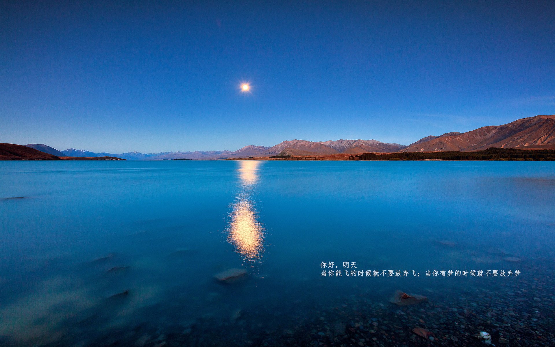 铁壁与利刃的较量,伊拉克防守封印哈兰德,挪威锋线哑火