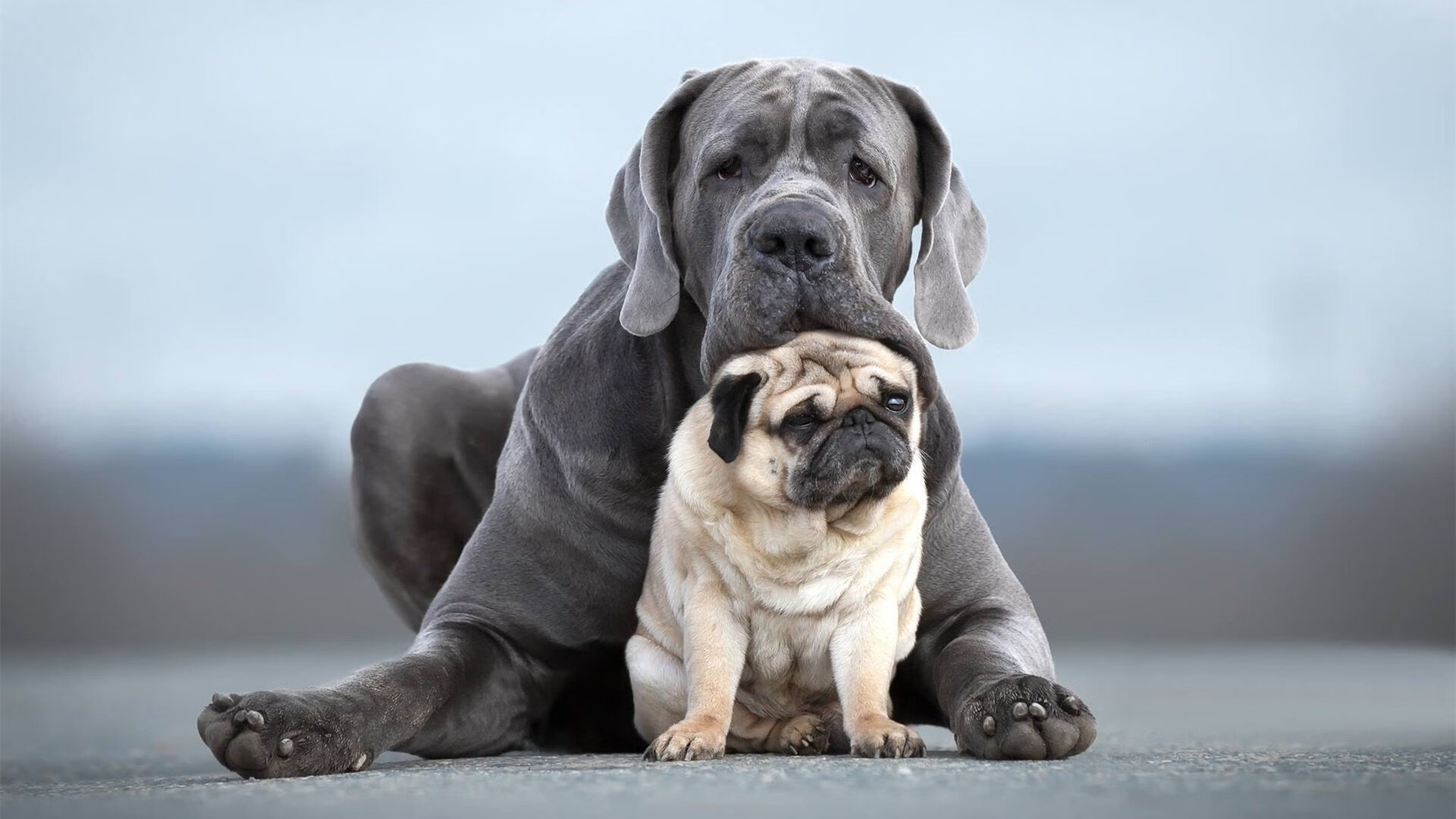 黑白直播免费体育直播-萨内关键时刻挺身而出，芬兰提前终结与几内亚的悬念
