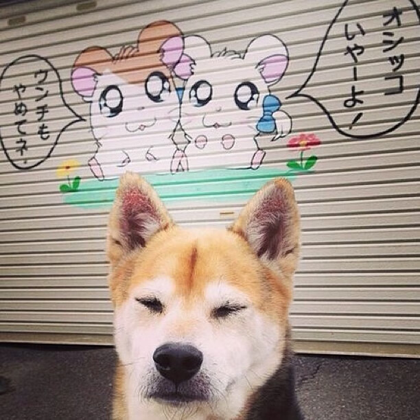 撕碎质疑的夜晚，当哈登用爆炸数据重写命运脚本