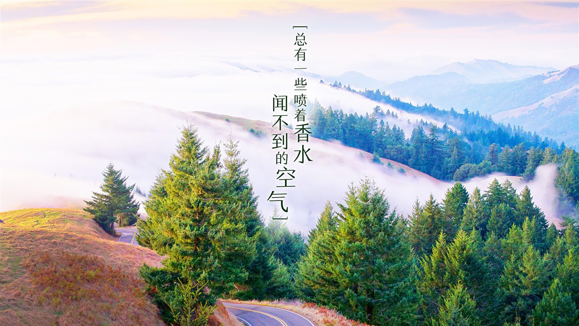 黑白直播nba-蓝白风暴中的绝命一刀，萨内致命一击，乌拉圭险胜越南晋级八强